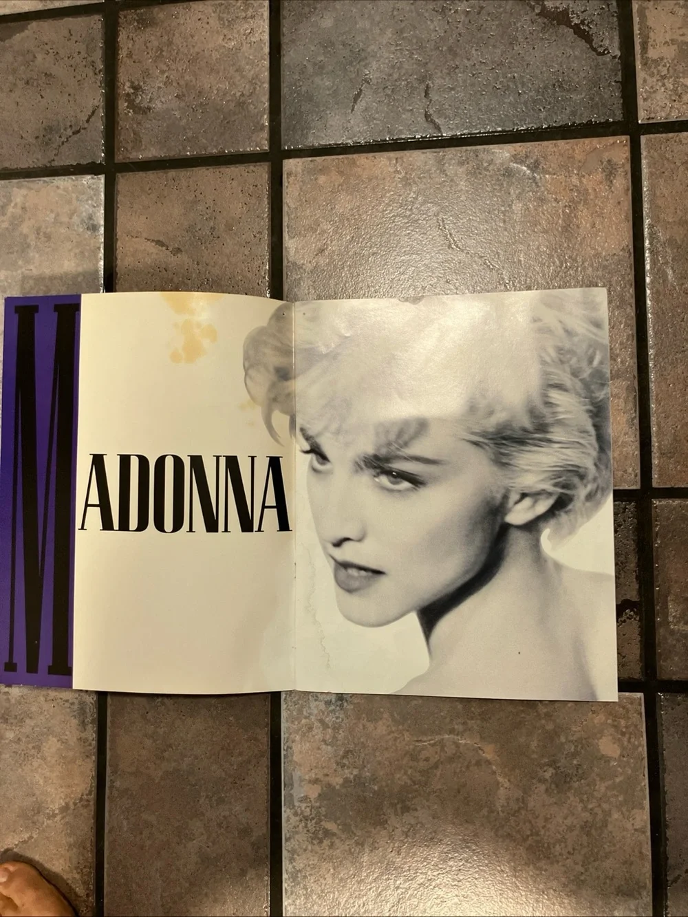 Vintage 1987 Madonna Who's That Girl World Tour Program Concert Book Biography